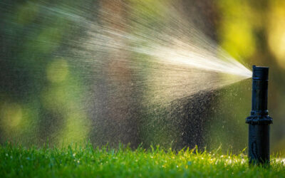 How Residential Irrigation Services Can Benefit Homeowners