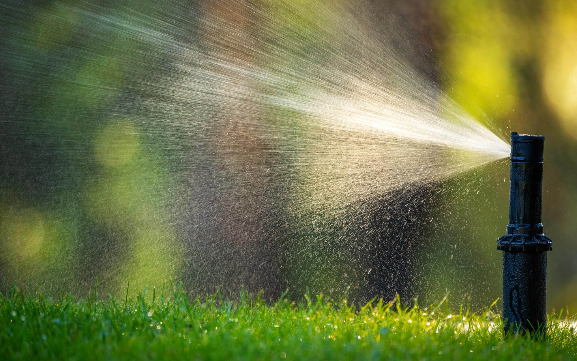 Sprinkler spraying water