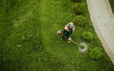 Hire a Professional for Your Lawn Care Services