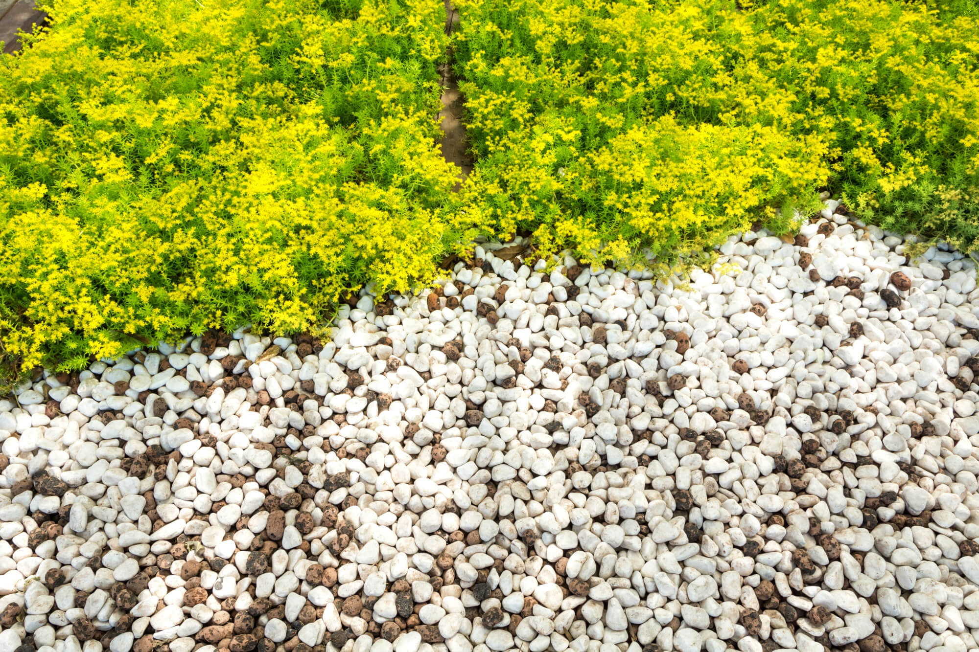 Decorative rocks and grass